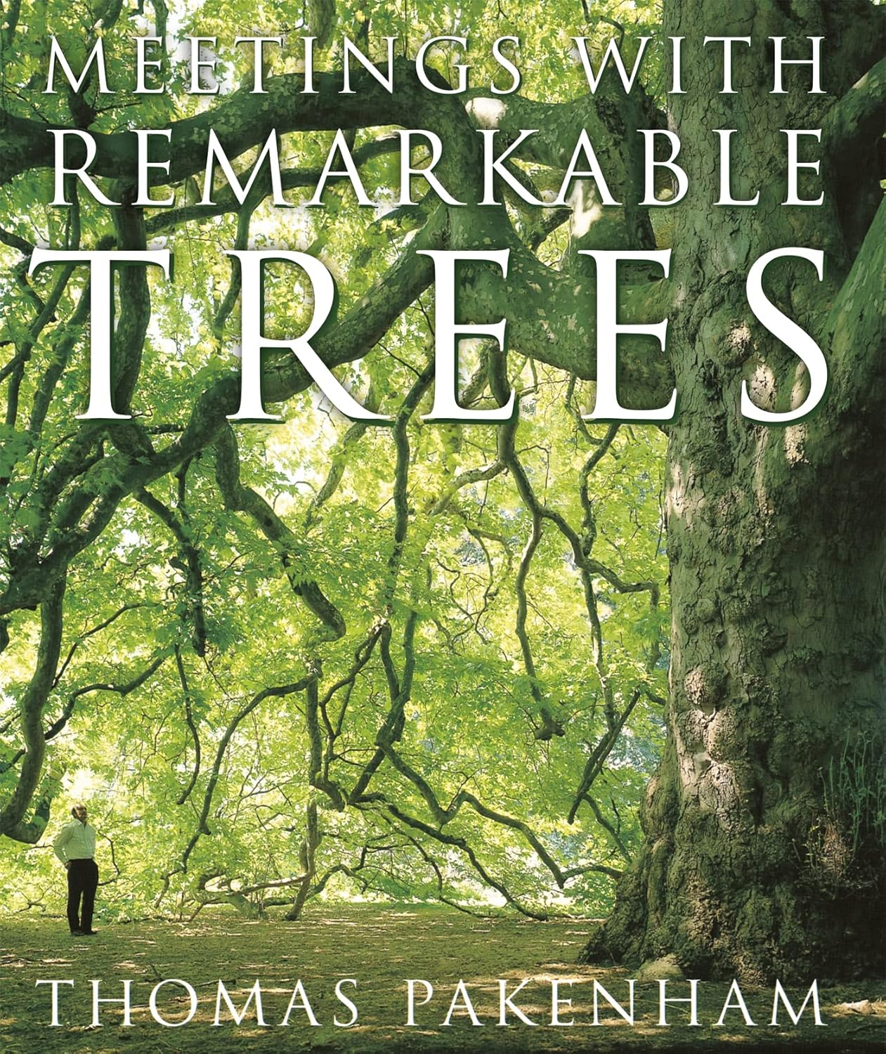 Meetings with Remarkable Trees